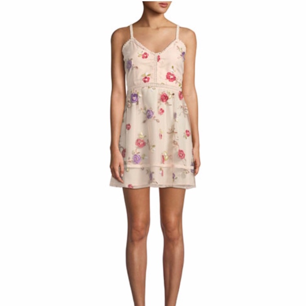 BB Dakota Floral-Embroidered Dress